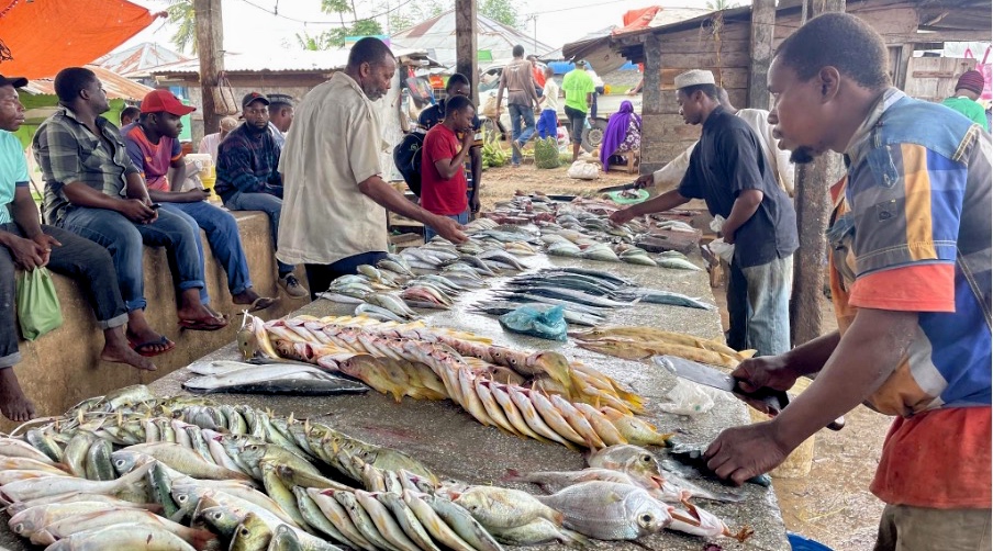 From little things, big things grow: Scaling Peskas in East Africa